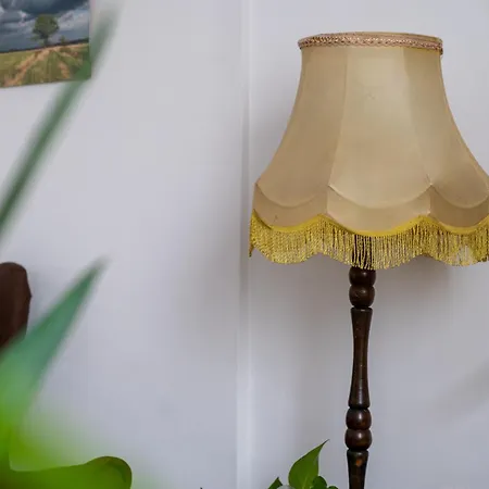 Odrzanska Urban Jungle By Bookinghost Daire