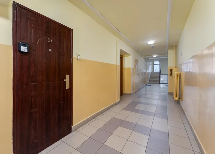 公寓 Odrzanska Urban Jungle By Bookinghost *